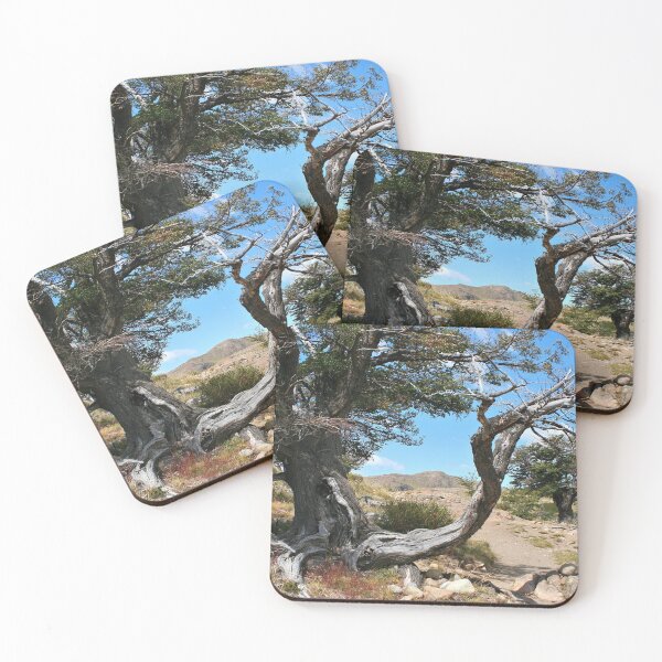 Item preview, Old gnarled tree, near El Chalten, Argentina, South America designed and sold by FranWest.