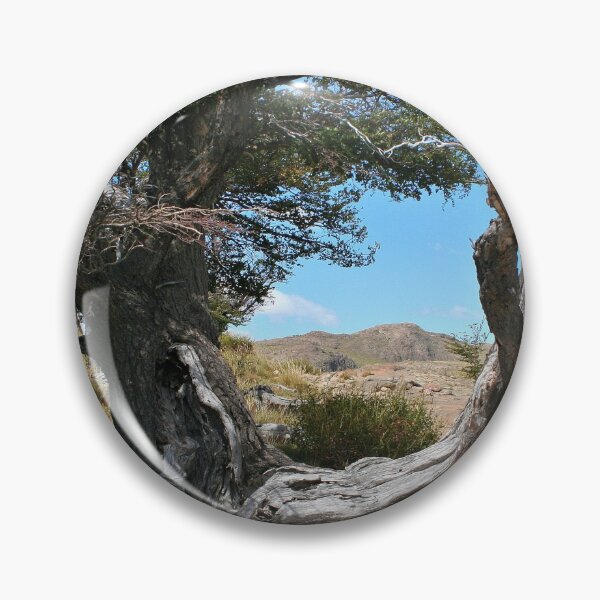 Item preview, Old gnarled tree, near El Chalten, Argentina, South America designed and sold by FranWest.