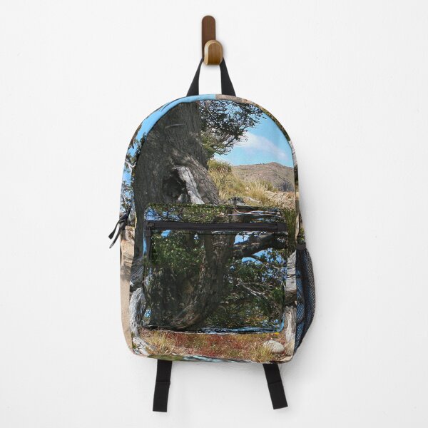 Item preview, Old gnarled tree, near El Chalten, Argentina, South America designed and sold by FranWest.