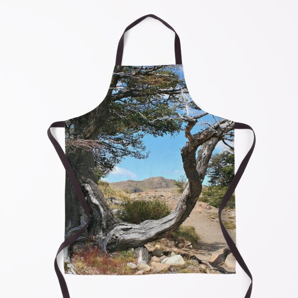 Item preview, Old gnarled tree, near El Chalten, Argentina, South America designed and sold by FranWest.