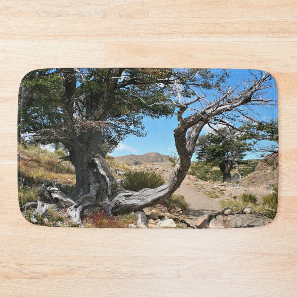 Item preview, Old gnarled tree, near El Chalten, Argentina, South America designed and sold by FranWest.