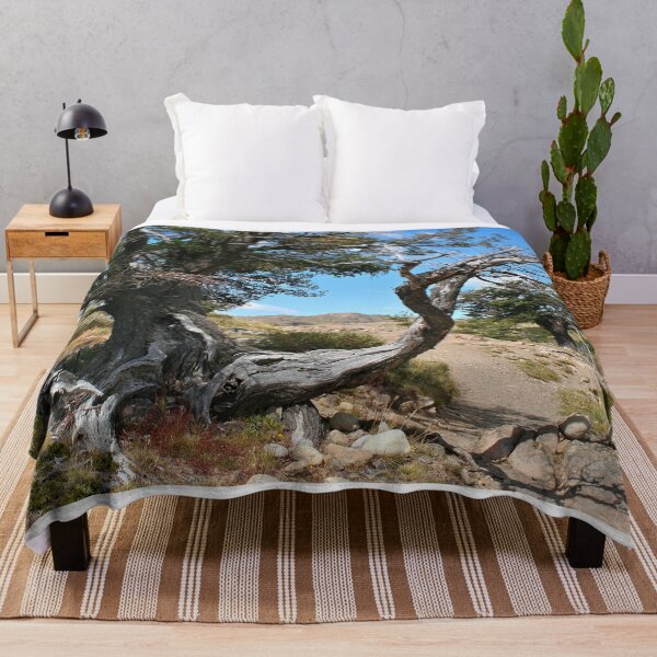 Item preview, Old gnarled tree, near El Chalten, Argentina, South America designed and sold by FranWest.