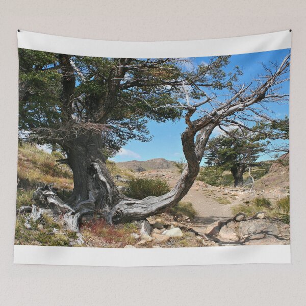 Item preview, Old gnarled tree, near El Chalten, Argentina, South America designed and sold by FranWest.