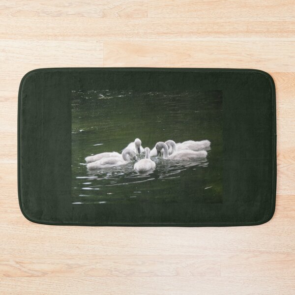 Item preview, Cute Fluffy Baby Mute Swans Photograph designed and sold by naturegallery.