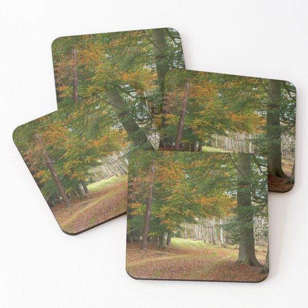 Item preview, Late October 2020 in the autumnal forest designed and sold by jchanders.