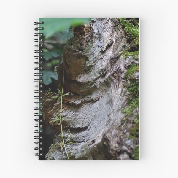Item preview, Tree stump designed and sold by tada-leipzig.