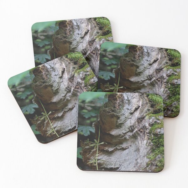 Item preview, Tree stump designed and sold by tada-leipzig.