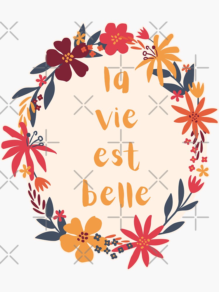 LA VIE EST BELLE Life is Beautiful French Language Phrase
