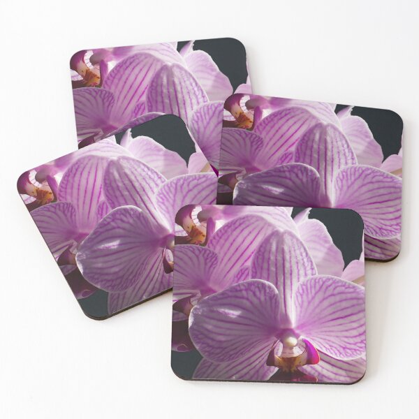 Item preview, Pink and White Orchids in sunlight close up II designed and sold by Laurence Bruneau.