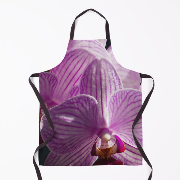 Item preview, Pink and White Orchids in sunlight close up II designed and sold by Laurence Bruneau.