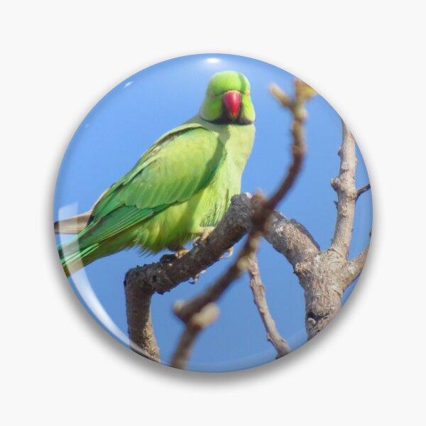 Item preview, Look at Me! Barbados Green Parrot_Rose-Ringed Parakeet_Original designed and sold by StayCuztom.