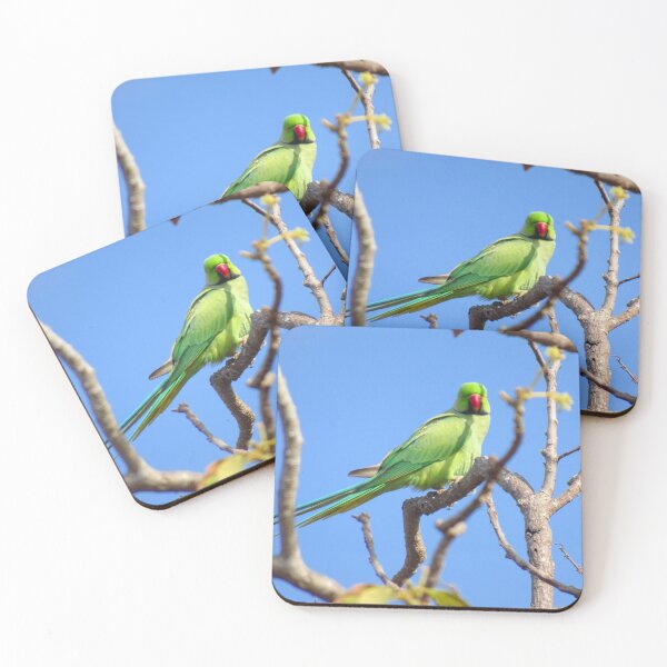 Item preview, Look at Me! Barbados Green Parrot_Rose-Ringed Parakeet_Original designed and sold by StayCuztom.