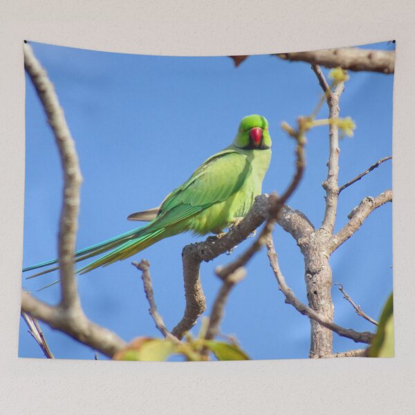 Item preview, Look at Me! Barbados Green Parrot_Rose-Ringed Parakeet_Original designed and sold by StayCuztom.