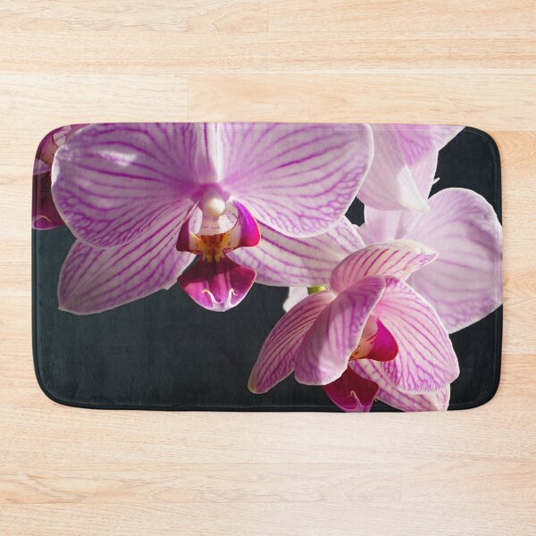 Item preview, Pink and White Orchids in sunlight close up designed and sold by Laurence Bruneau.