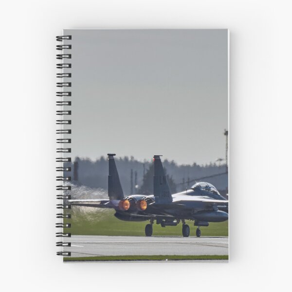 Item preview, McDonnell Douglas F-15E Strike Eagle designed and sold by Richard Allen.