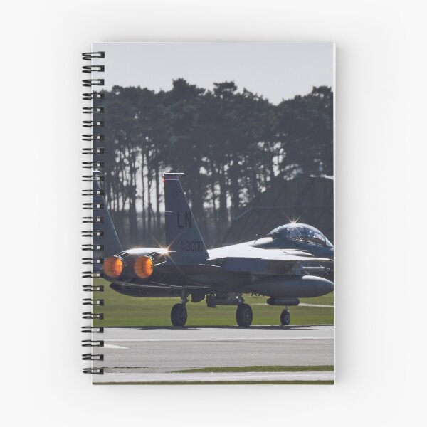 Item preview, McDonnell Douglas F-15E Strike Eagle designed and sold by Richard Allen.