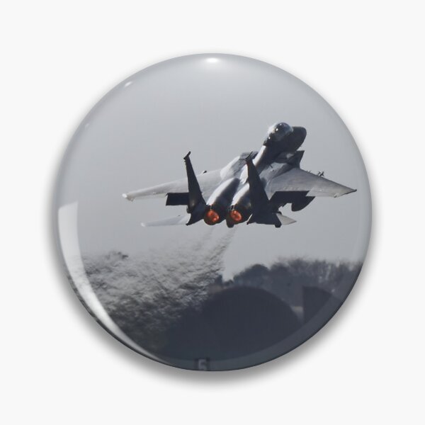 Item preview, McDonnell Douglas F-15E Strike Eagle designed and sold by Richard Allen.