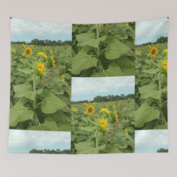 Item preview, Sun flower farm in the State of Kansas designed and sold by hemerton.