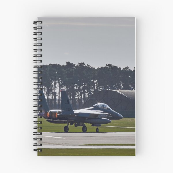 Item preview, McDonnell Douglas F-15E Strike Eagle designed and sold by Richard Allen.