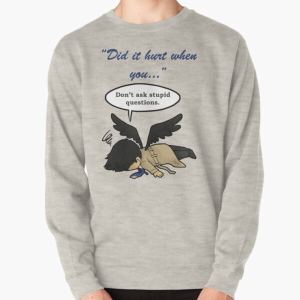 Did it hurt when you fell from Heaven? Pullover Sweatshirt