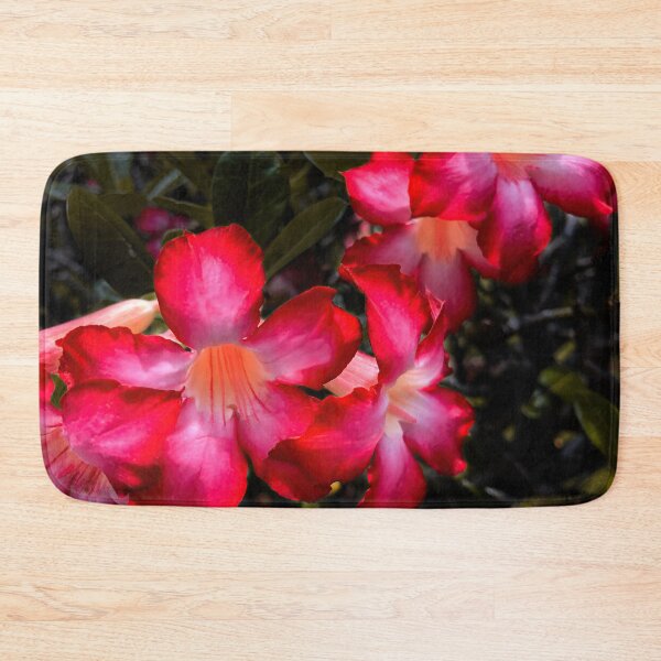 Item preview, Impala Lily close up II designed and sold by Laurence Bruneau.