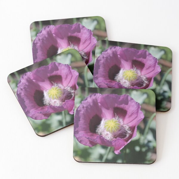Item preview, Scottish Flower designed and sold by Greg Moore.
