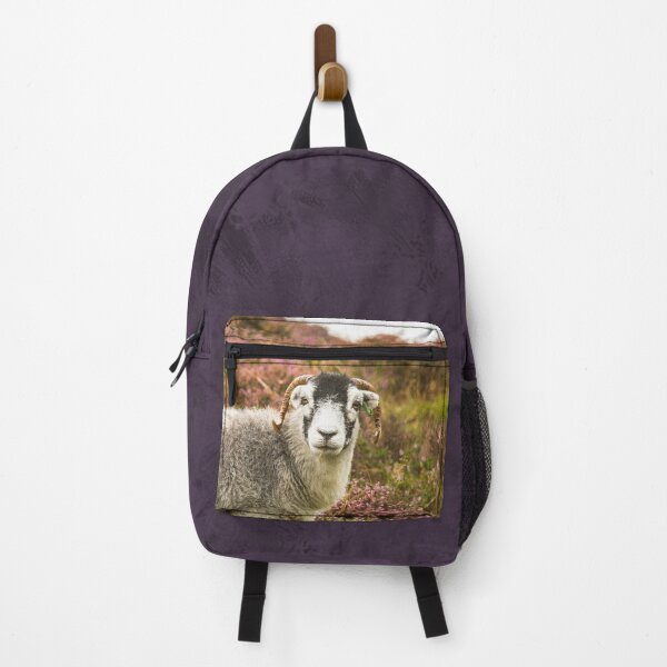 Item preview, Swaledale Sheep in the Heather designed and sold by Jane Stanley Photography.
