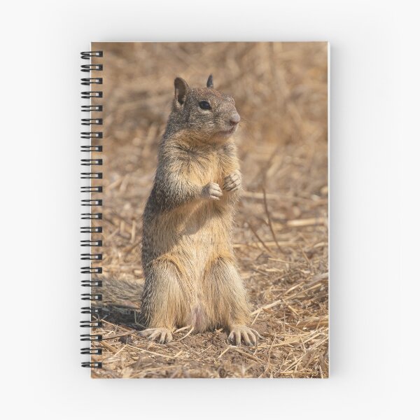 Item preview, Looking good, feeling great, being a squirrel designed and sold by Anthony Brewer.