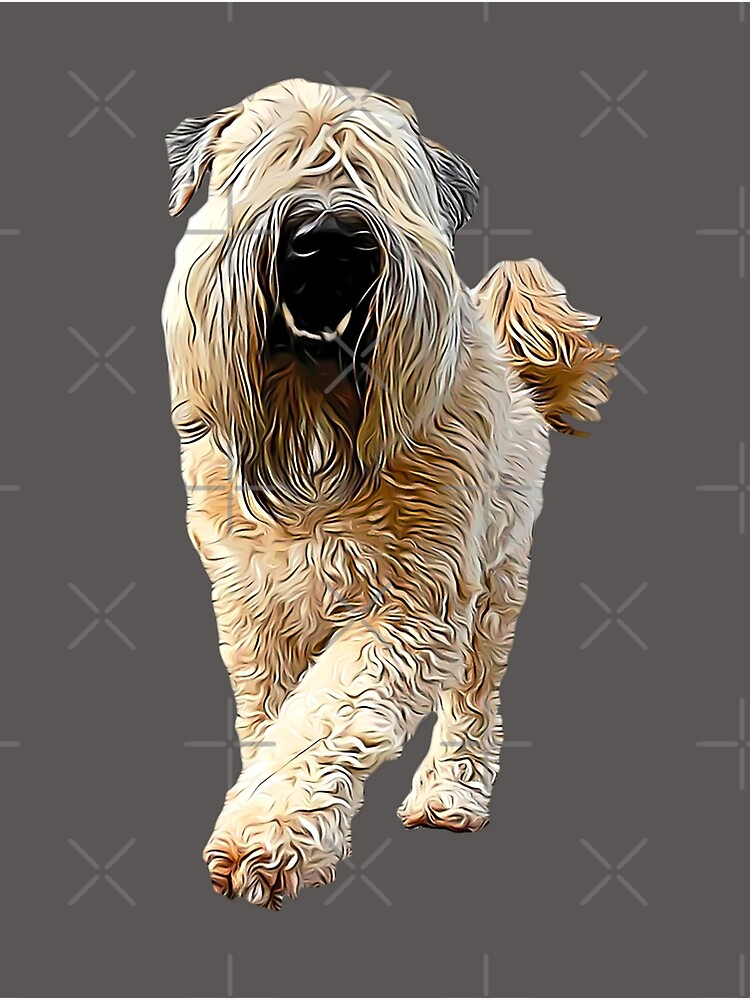 Wheaten terrier outlet merchandise