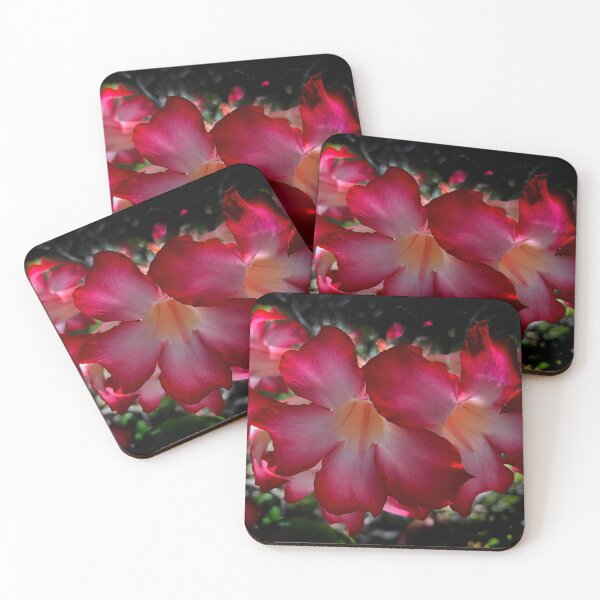 Item preview, Impala Lily close up designed and sold by Laurence Bruneau.