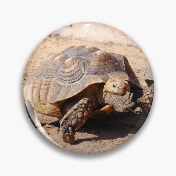 Item preview, Tortoise Having Lunch designed and sold by GillyMc.