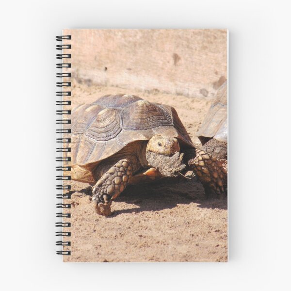 Item preview, Tortoise Having Lunch designed and sold by GillyMc.