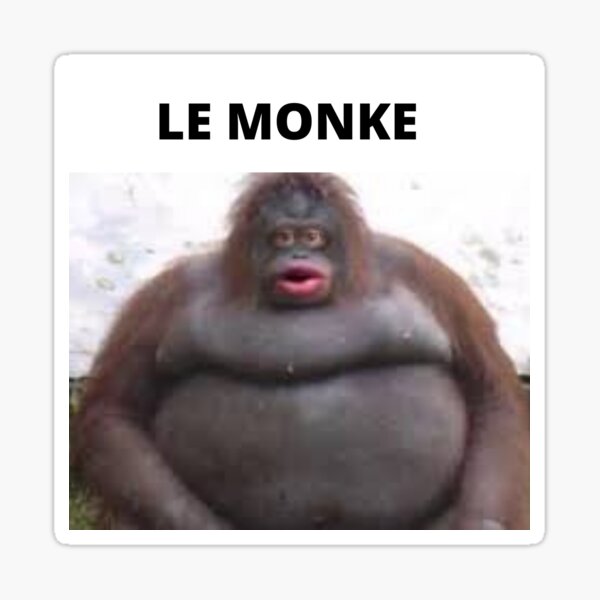 Le Monke Meme Accesories Sticker By Funnemonke Redbubble