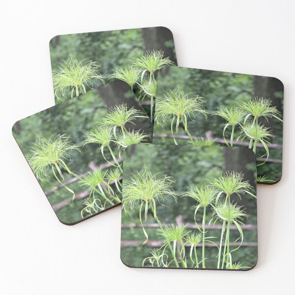 Item preview, Papyrus Against the Fence and Woods designed and sold by Martha Sherman.