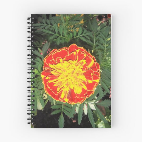 Item preview, Mesmerising Marigold designed and sold by EnticingRose.
