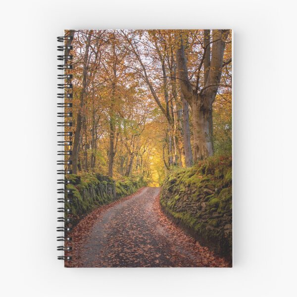 Item preview,  the road towards the light designed and sold by JoeEJackson.