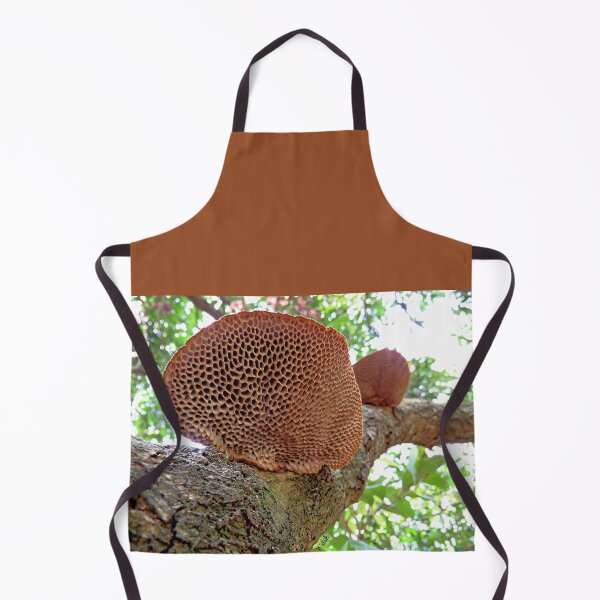 Item preview, Hairy Hexagonia Fungi designed and sold by Linda Walsh.