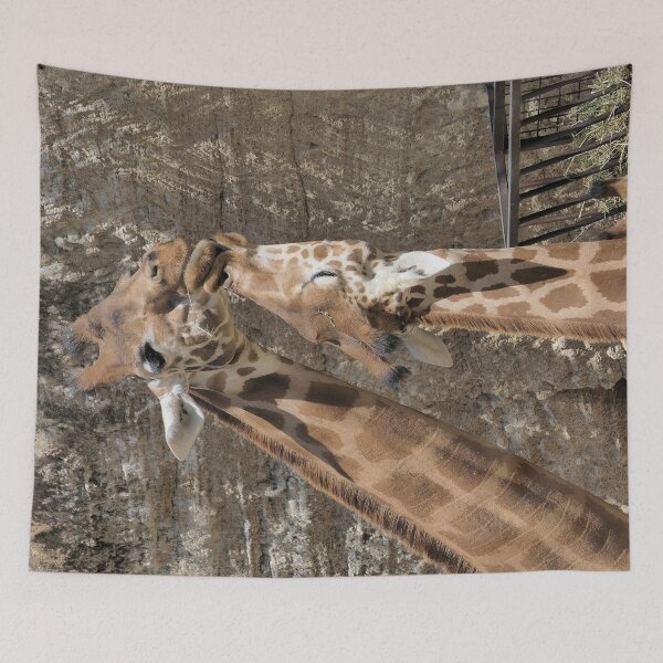 Aperçu de l'œuvre r2414/ Mére & Fille des Girafe d’Afrique centrale  2020 par Okaio Créations - Olavia-Olao     créée et vendue par o.okaïo.