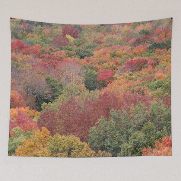 Item preview, A Blanket of Colorful Leaves designed and sold by Susie Kramer.