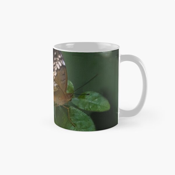Item preview.