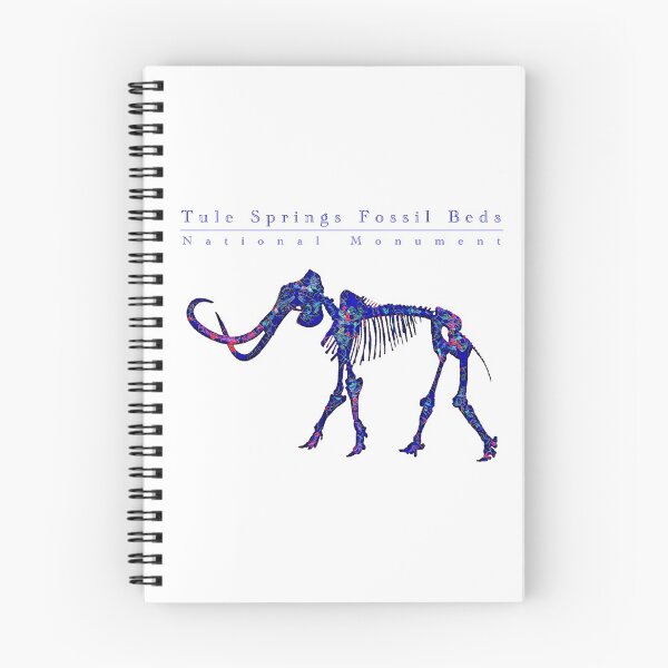 Item preview, Tule Springs Fossil Beds National Monument benefit art: donating 100% of the profit to national parks in the United States  designed and sold by seekingclarity.