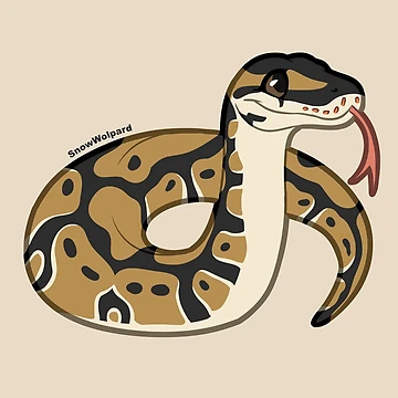 Artwork thumbnail, Little Ball Python by SnowWolpard