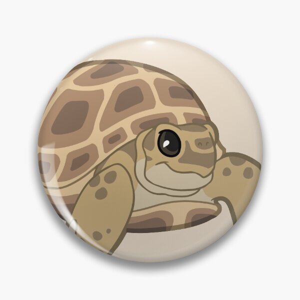 Little Russian Tortoise Pin