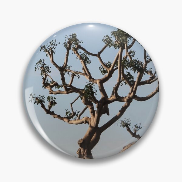 Item preview, Nature Strikes A Tree Pose! designed and sold by heatherfriedman.
