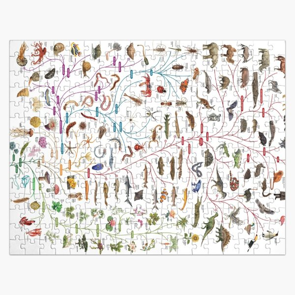 Tree of Animal Life - Evolution is change in the heritable characteristics of biological populations over successive generations Jigsaw Puzzle