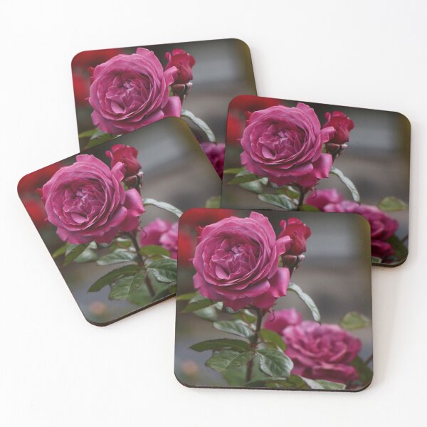 Item preview, Rose designed and sold by Narelle Richardson.