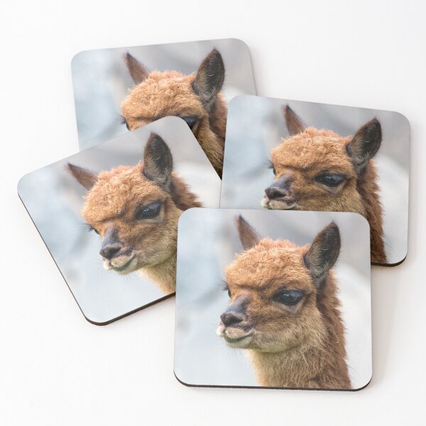 Item preview, Baby Vicuña designed and sold by Aires Photography.