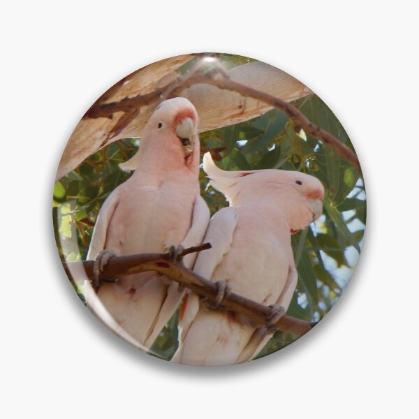 Artikelvorschau, Major Mitchell Cockatoos entworfen und verkauft von Narelle Richardson.