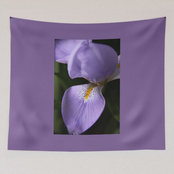 Item preview, Colour of Welcome designed and sold by coffeebean.