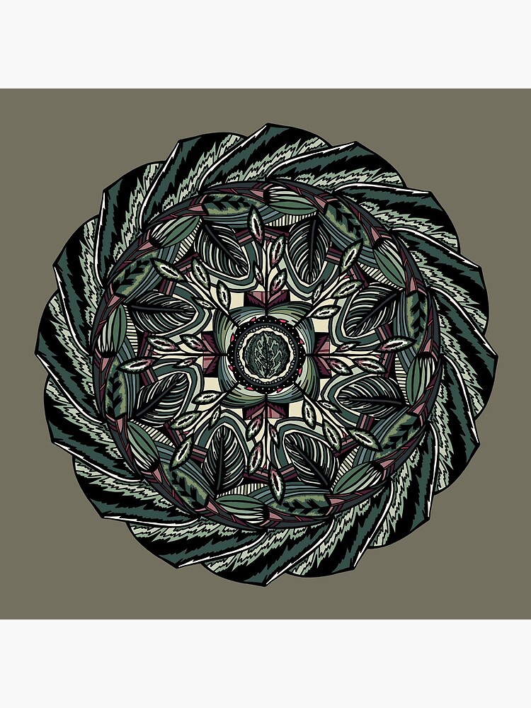 House Plants Mandala by akayeart